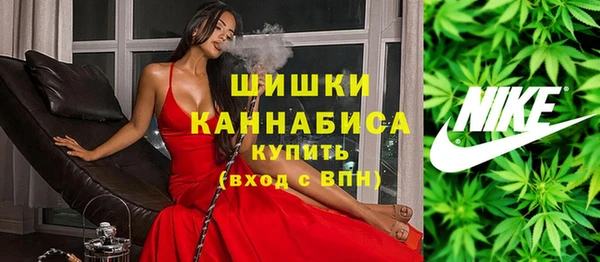 прущие грибы Мегион