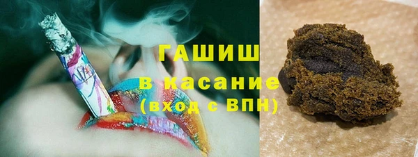 прущие грибы Мегион