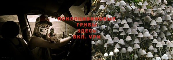 прущие крисы Михайловка