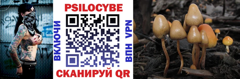 Псилоцибиновые грибы ЛСД Мичуринск