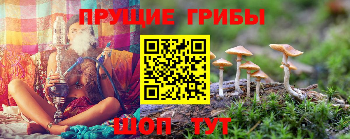 Галлюциногенные грибы Magic Shrooms  Вход с VPN  Мичуринск 